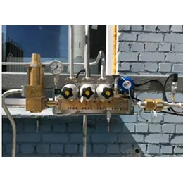 Line Manifolds