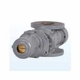 RM-2000 Rotary Gas Meter