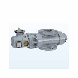RM-5000 Rotary Gas Meter