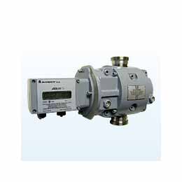 RM-600 Rotary Gas Meter