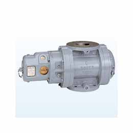 RM-7000 Rotary Gas Meter