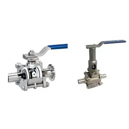 Clean Steam Ball Valves