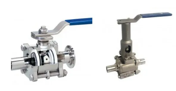 Clean Steam Trap Valves