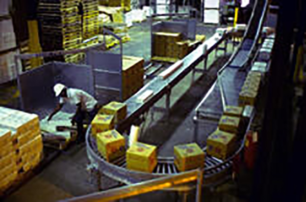 Food Packaging Conveyors