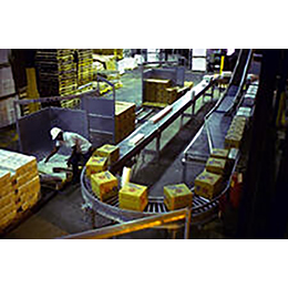 Food Packaging Conveyors