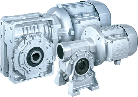 Worm gear