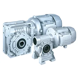 Worm gear
