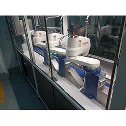 CSL Tray Packer