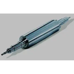 Permanent Magnet Rotors