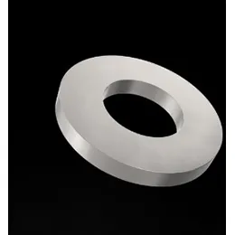 MS Washers - MS15795