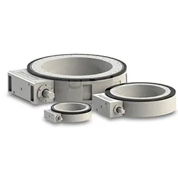 LARGE AND SLIM GLOBOIDAL CAM MECHANISMS