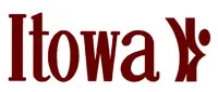 ITOWA Radio Remote Control Systems