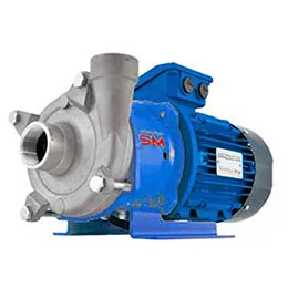 chemical pumps in stainless steel-mag series