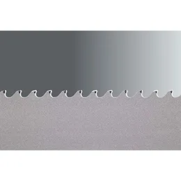 Carbide saw blade