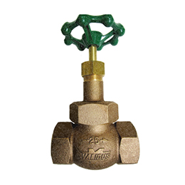 Bronze globe valves