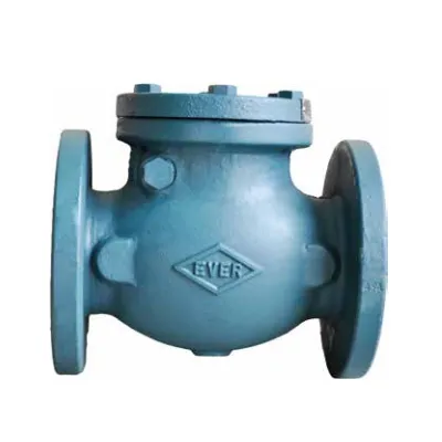 Cast Iron Swing Check Valves PH404E
