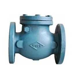 Cast Iron Swing Check Valves PH404E