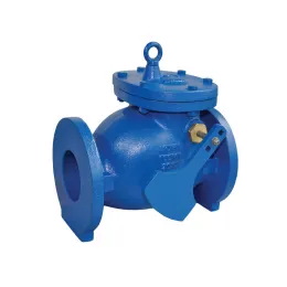 Cast Iron Swing Check Valves