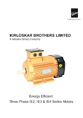 3 phase AC induction motors