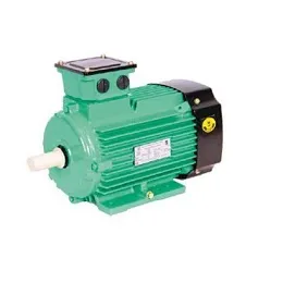 3 phase AC induction motors