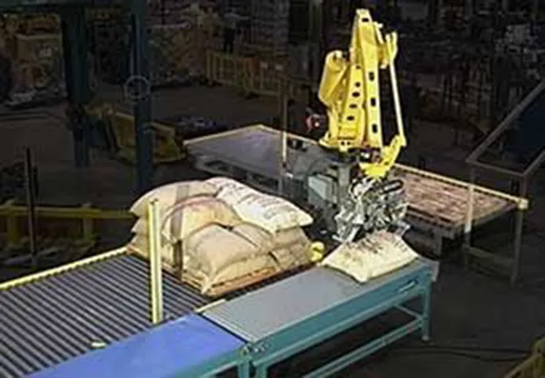 Bag Depalletizing System