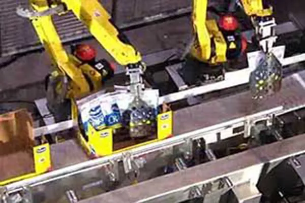 Kaufman Robotic Pouch Palletizing Systems