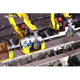 Kaufman Robotic Pouch Palletizing Systems