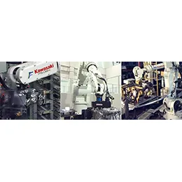 Robotic Assembly