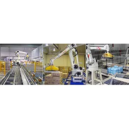 Robotic Palletizing