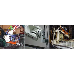 Robotic Sealing