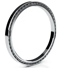 Reali-Slim stainless steel bearings