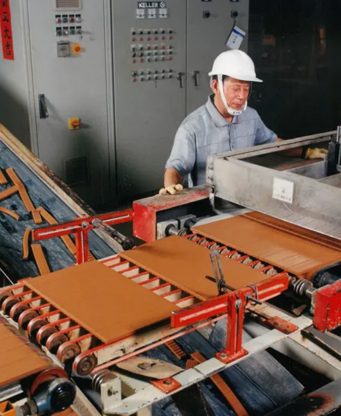 Punches for flat extruded sheets