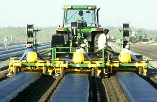 High Speed Plastic Mulch Layer