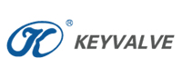 Keyvalve Co Ltd