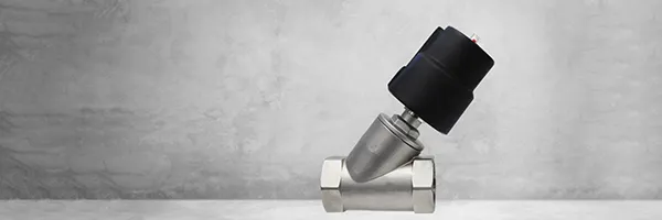 ANGLE SEAT VALVES