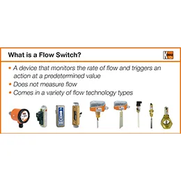 Flow Switches