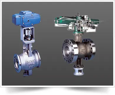 CONCENTRIC SEGMENTAL BALL VALVE