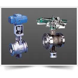 CONCENTRIC SEGMENTAL BALL VALVE