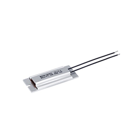 RXLG PTC Heavy-duty resistors in aluminum profile