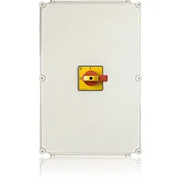 Maintenance and Safety Switches upto 132KW