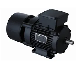 Brake Motors 2-Speed High Brake Torque - Full Size - AAFB