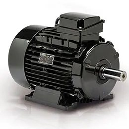 HIGH EFFICIENCY MOTORS-IE2-CURUS