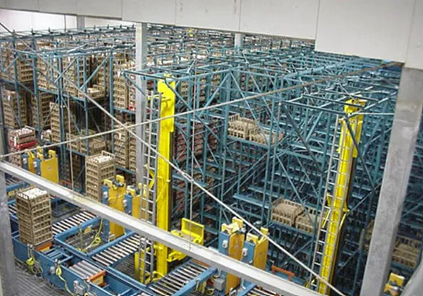 Low Temperature Conveyor