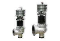safety valve Series PV 1509