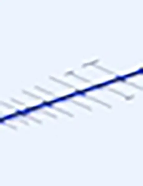 FLAG Antenna