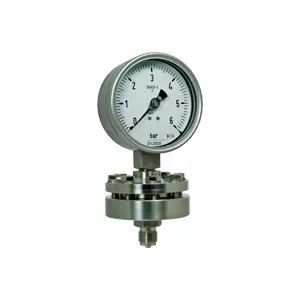 Chemical seals for pressure gauges and transmitters D700