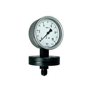 Diaphragm pressure gauges P10