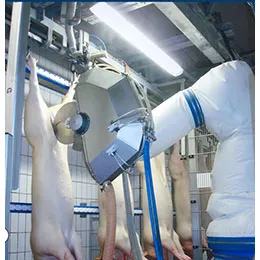 Dressing, cutting & evisceration - Pig