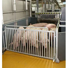 Pig stunning