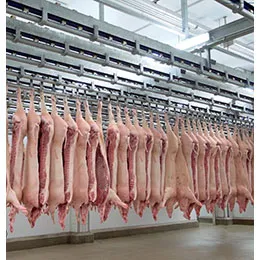 Transportation and cooling of pig carcasses